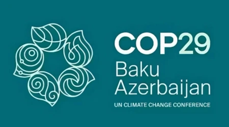 COP29’da Karar: Az Gelişmiş ve Gelişmekte Olan Ülkelere Destek Verilecek