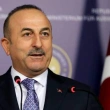 Bakan Çavuşoğlu: 'Almanya Adil Öksüz ile ilgili arama kararı çıkarttı'