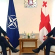 Gürcistan NATO üyesi ülkelerden destek istedi