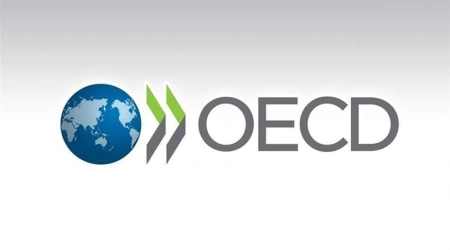 OECD Açıkladı: Türkiye Ekonomisi Küresel Ekonomiden Daha Fazla Büyüyor