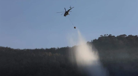 Muğla'da ve Aydın'daki 3 Orman Yangını İçin Çalışmalar Sürüyor