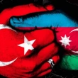 Azerbaycan Diasporası Ermeni lobisine karşı hareketee geçti