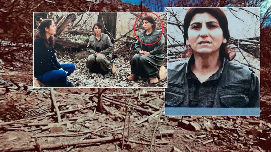 PKK'nın Sözde KCK Önderlik Komitesi/Yürütme Konseyi Üyesi Terörist Etkisiz Hale Getirildi