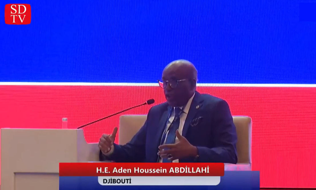 Comments on the Post-Pandemic International System from Aden Houssein Abdillahi, Ambassador of Djibouti to Ankara